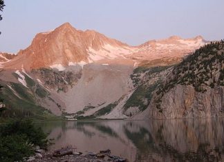 Interesting Spins on Classic Dishes Make Toro an Experience not to be Missed