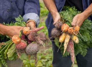 Embracing Natures Bounty: Clay’s Farm-to-Table Journey at Wildflower Farms