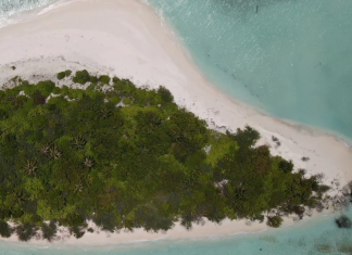 Dive into The Enchanting World of Manta Rays at The Maldives Hologram Room