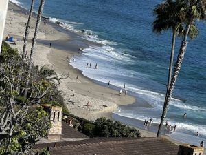 8E112169-9421-4C6C-A021-E725B6CD7A28_1_105_c