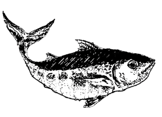 American Dream Meets Culinary Excellence at Kato in Los Angeles