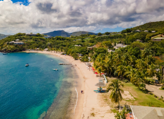 Eco-Friendly Luxury Homes Gain Momentum Among Wealthy Investors